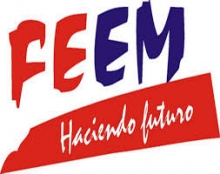 FEEM